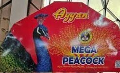 MEGA PEACOCK(1 Box)